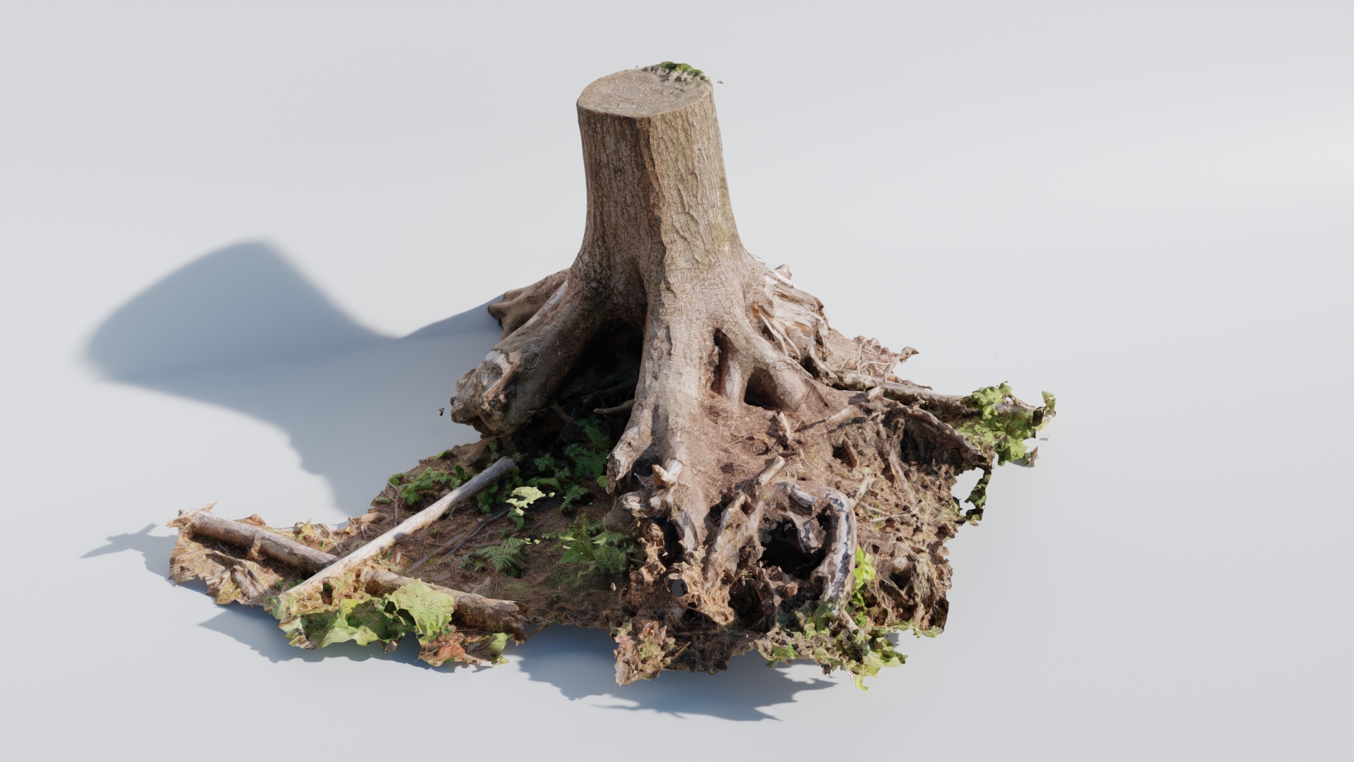 Massive Tree Trunk preview image 1